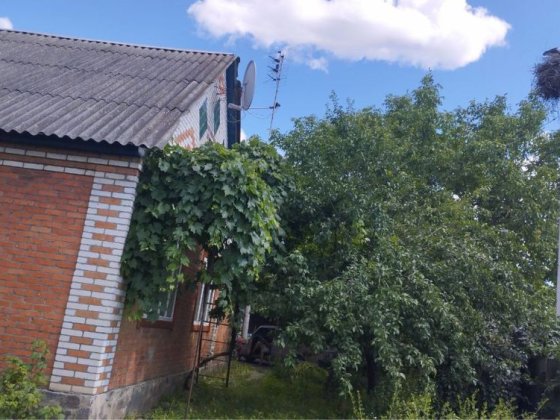 Будинок в центрі, 4 кімнати, гараж, погріб, сарай, свердловина,5 соток Котельва