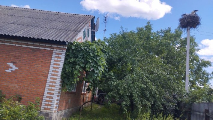 Будинок в центрі, 4 кімнати, гараж, погріб, сарай, свердловина,5 соток - фото 1