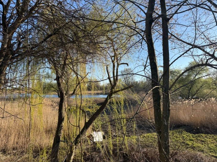 Продам дачу в кооп.Строитель (1 линия, выход к Днепру) - фото 1