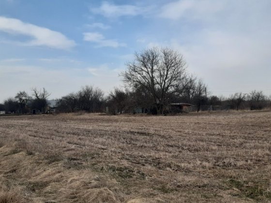 Продам земельну ділянку з будинком Гожули