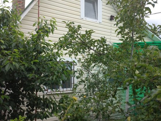 Продам дачу за з.д. платфoрмою.(м.Вараш, Рівненська обл. Вараш