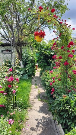 Дача Красносельський кооператив, Старе село, - фото 1