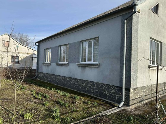 Будинок для великої сім'ї Млинів