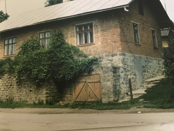 Власний будинок м. Бучач 35 соток 106 квадратів Бучач