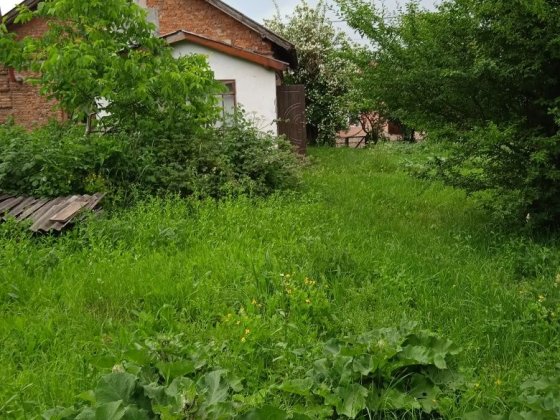 Продаж житлового будинку в м. Зборів, Тернопільської обл. Зборів