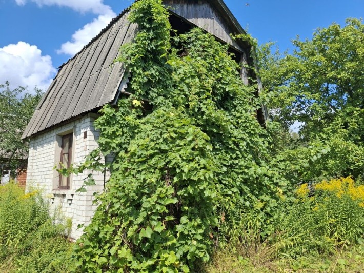 Продаж дачі в місті. Півці- заз- кільцева. - фото 1