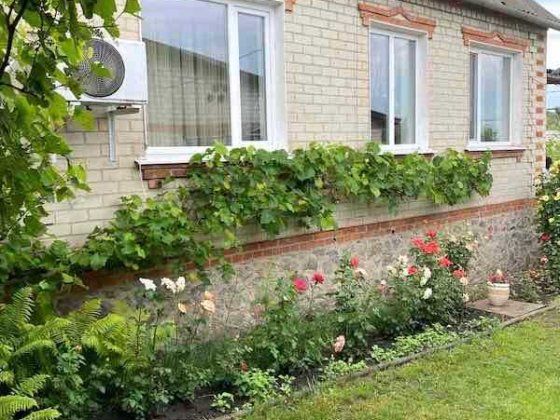 Продам будинок Богодухів (169140) Богодухів