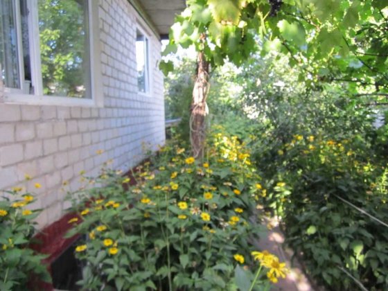 Продажа дома в Бабаях от собственника без комиссии Бабаи