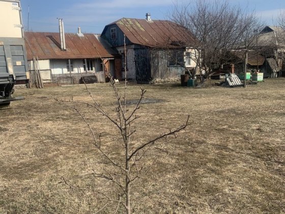 Дом в Васищево Васищево