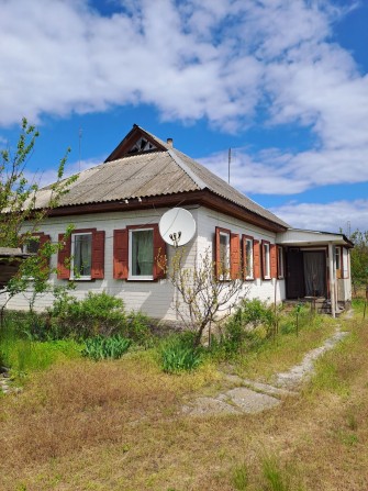 Продам будинок в с. Білозір'я біля лісу - фото 1