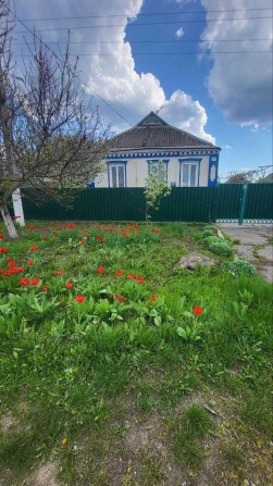 Продам будинок в м. Шпола - фото 1