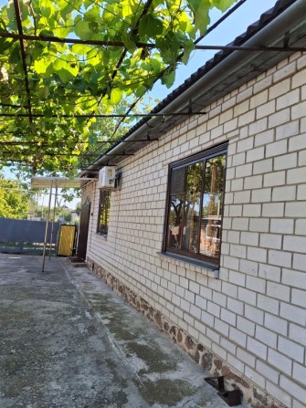 Два будинки з господарськими будівлями Чигирин - фото 1