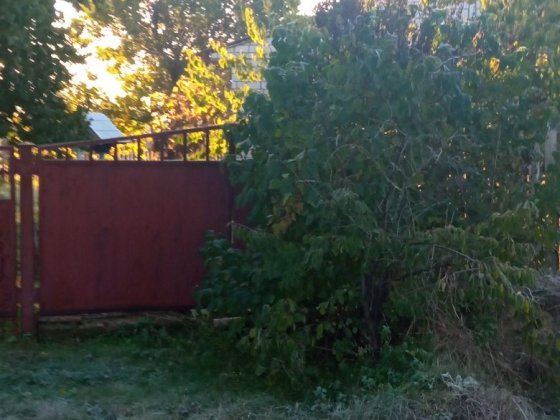 Продажа дома в центре Дубиевки Дубіївка