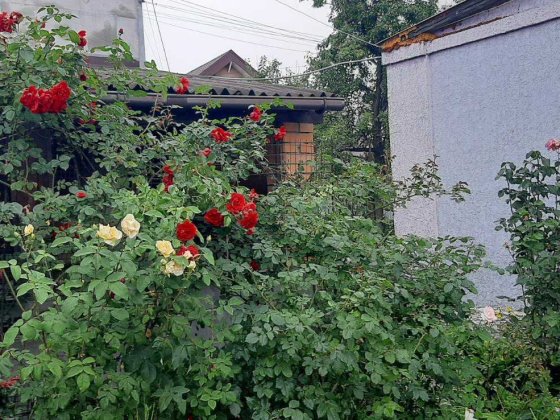 Продаж будинку. Жуляни. Зручна локація. Киев