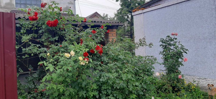 Продаж будинку. Жуляни. - фото 1