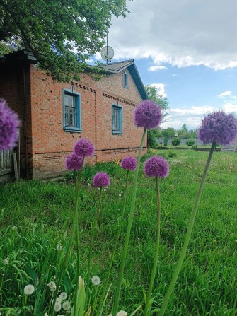 Будинок по вул. Тичини. Обл. лікарня - фото 1