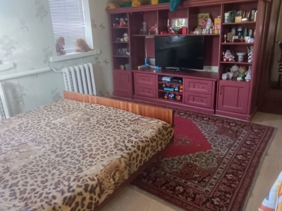 Будинок для великої сімї та 40 соток додатково.Торг Яснозір'я