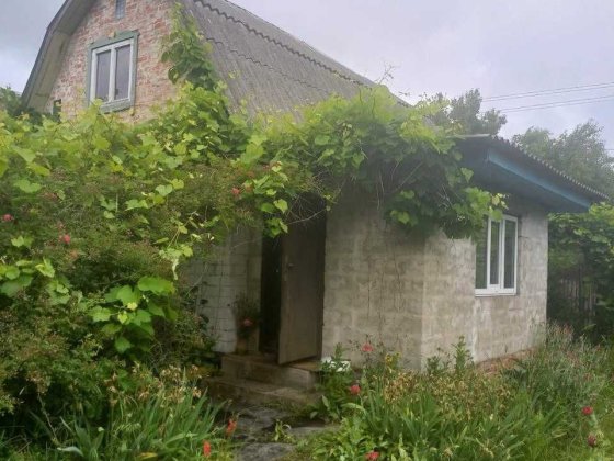 Продається дача в Березанці. Березанка