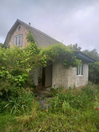 Продається дача в Березанці. - фото 1