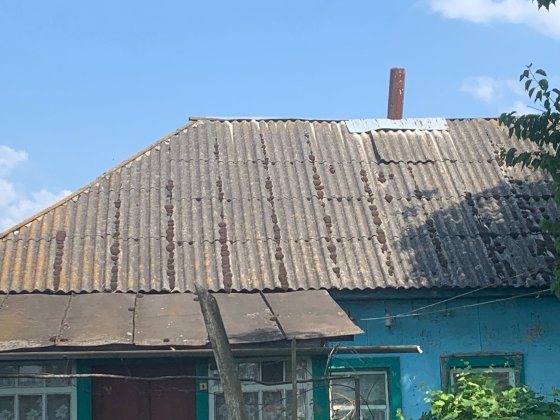 Будинок в селі Олишівка,недалеко від Чернігова.Власник. Олишевка