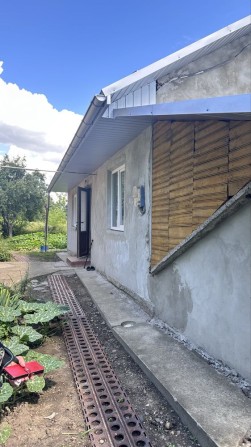 Продам господарство в Лужанах - фото 1