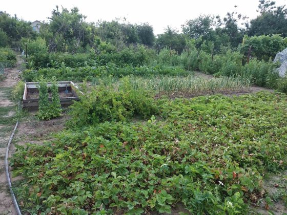 Продам дом в Кушугуме Кушугум