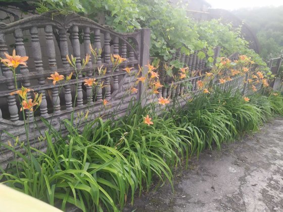 Центр !Продам пол дома частично с мебелью+ жилая летняя кухня во дворе