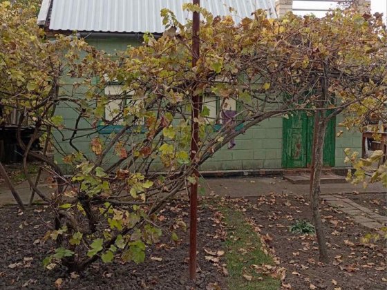 Продається дача в Тарамском Днепр