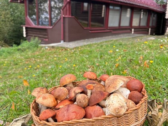 Продається унікальний маєток в гірській місцевості. Ужгород