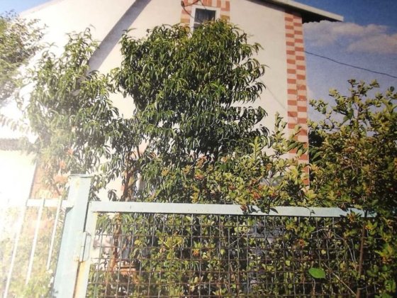 Дачний будинок Соловʼїний гай