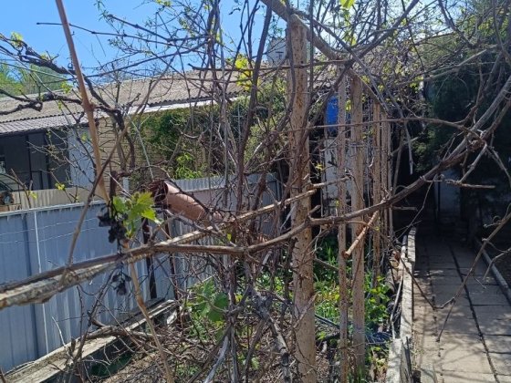 Продам часть дома и земельный участок 6 соток