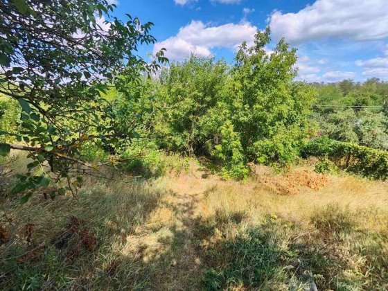 ПРОДАМ дачу 11,49 сот за Великим Лугом, 10 км від Бородинського р-ну