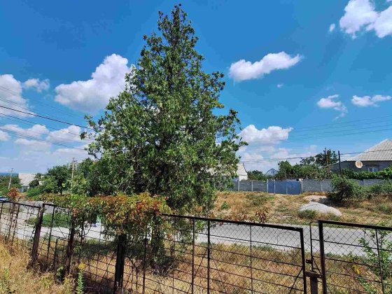 Продам большой дом в центре Таромского Дніпро