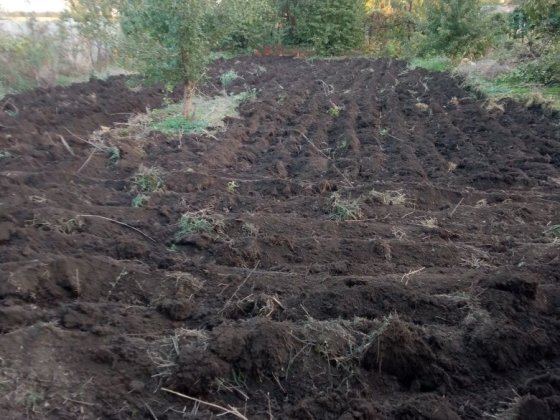 Срочно Продам дачу ул Скворцова 21 сотка