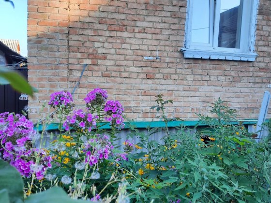 Частина будинку в центрі  28500 дол. Кропивницкий