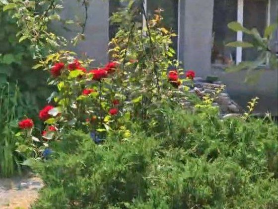 Дом Красный Камень Проспект Свободы Дніпро