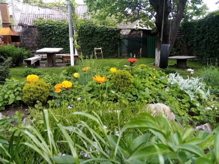 Продам будинок в м. Запоріжжя. Продам дом в г. Запорожье. - фото 1