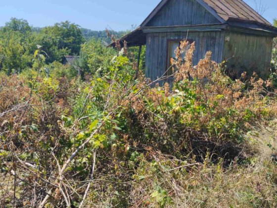 Продам дачу в Кропивницком Кропивницкий