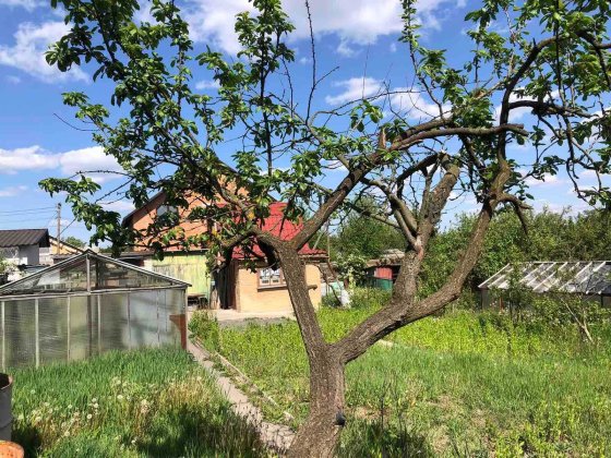 Продам дачний будинок (8387) Винница