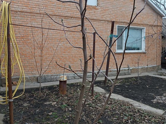 Продам будинок р-н Н.Балашівка Кропивницкий