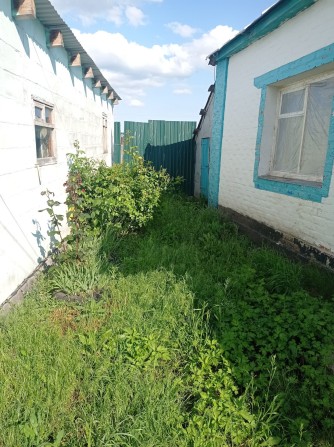 Продам дом с.Коломак .Харківська обл. - фото 1