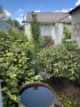 Два дома на одном участке в районе Лысой Горы - фото 1