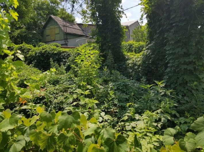 Продам дом у моря Одессе 4.6соток Срочно - фото 1