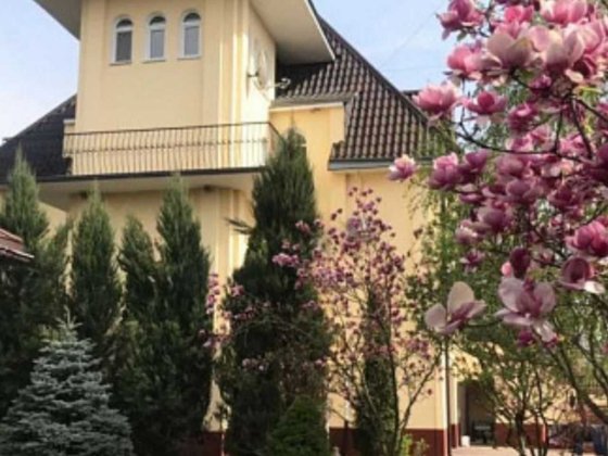 Чудовий Будинок 410 кв.м. для великої сім'ї, правий берег Петропавловская Борщаговка