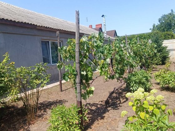 Продам дом на Заставе  ул. Марата!