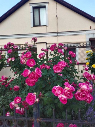 Продам дом на Кишиневской - фото 1