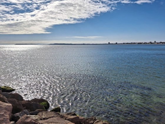 Аренда Болгария Святой Влас 1+1, 150метров море Полтава