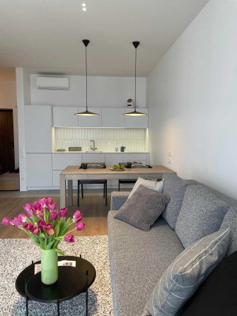 Оренда 1-кімн. кв. від власника, Greenville Park, вул. Пимоненка, 19 - фото 1
