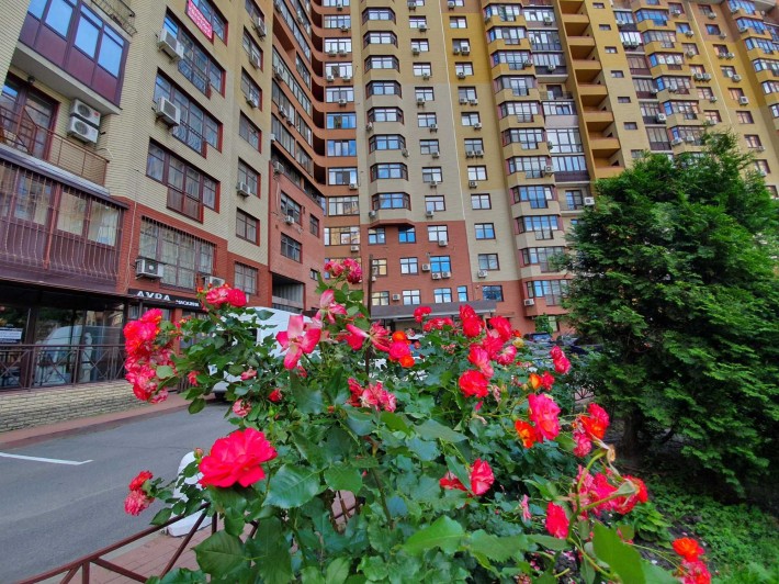 Оренда 3 кім, ст м Печерська, Коновальця 32-Б - фото 1