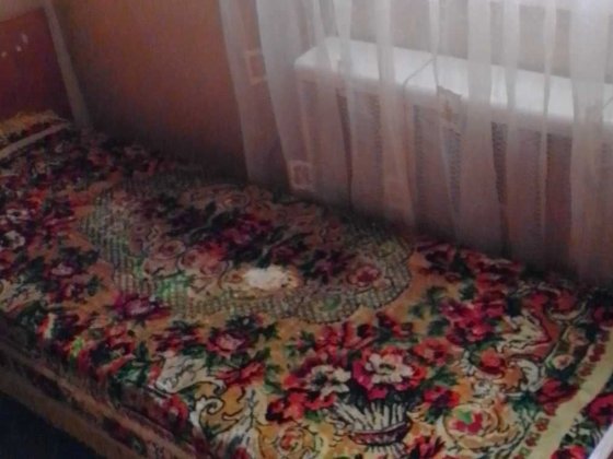 Здам кімнату Здам кімнату (не гуртожиток) Белая Церковь